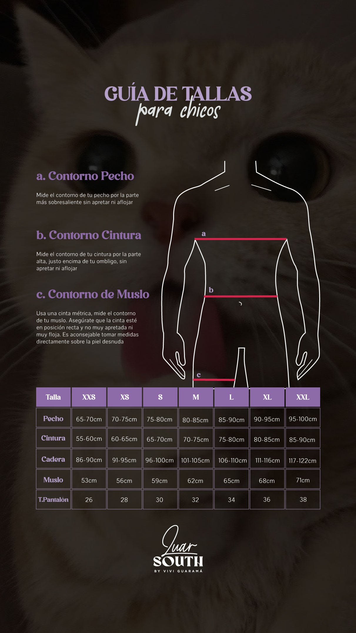 Arnés pechera Alvize