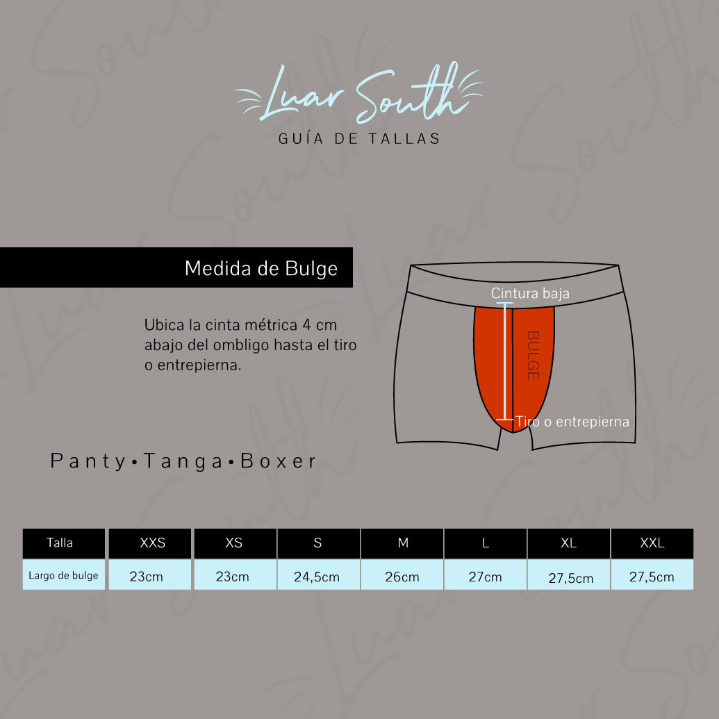 Panty Nova con ligueros