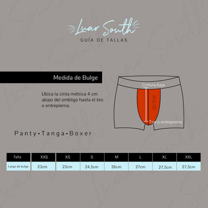 Panty Nova con ligueros